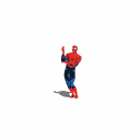 aas.gif