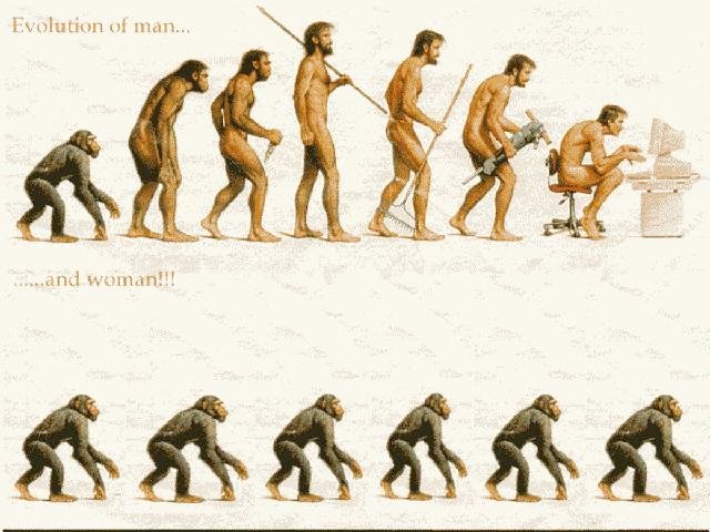 evolution1.jpg